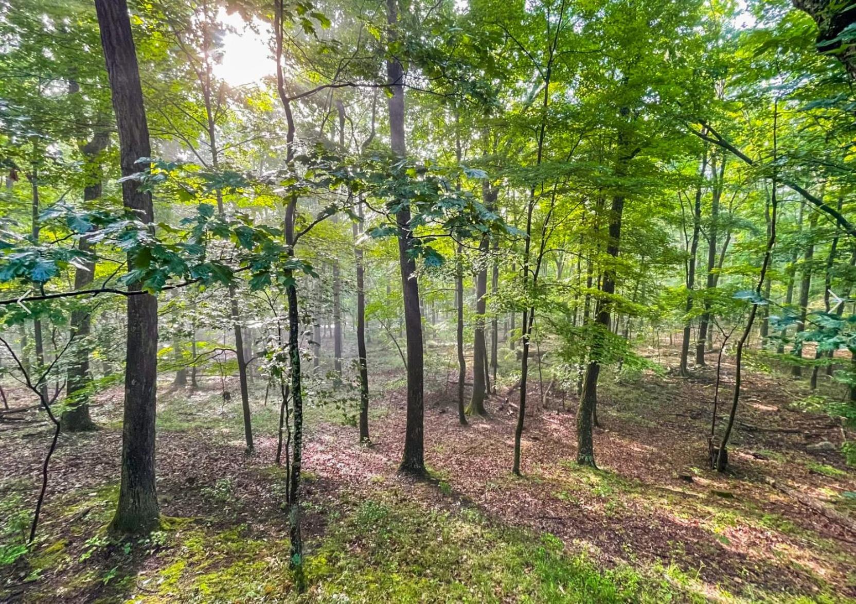 Chalet W Hot Tub, Large Deck, Grill, & Fast Wifi Berkeley Springs Exterior foto